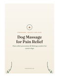 Dog Massage for Pain Relief — Holistic Guide for Senior Dogs